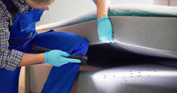 Best Termite Control Services  in Montgomery Village, MD