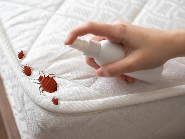 Best Wasp Removal Services  in Montgomery Village, MD