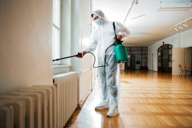 Best Flea Control Services  in Montgomery Village, MD